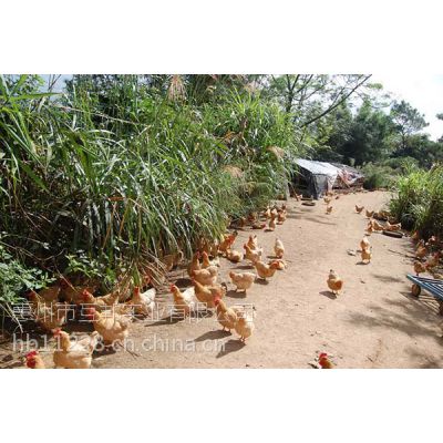 价格 厂家 中国供应商