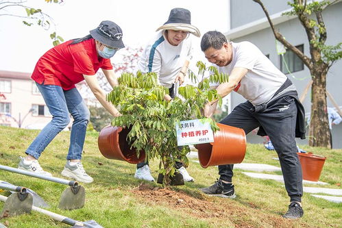 广西梧州商贸学校 校园植树添新绿