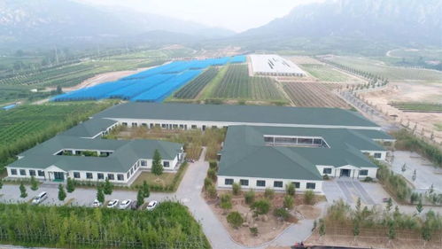 中西联合,组培工厂标准化生产,2万亩育苗基地,深度解析国内超一流种苗企业 腾讯新闻